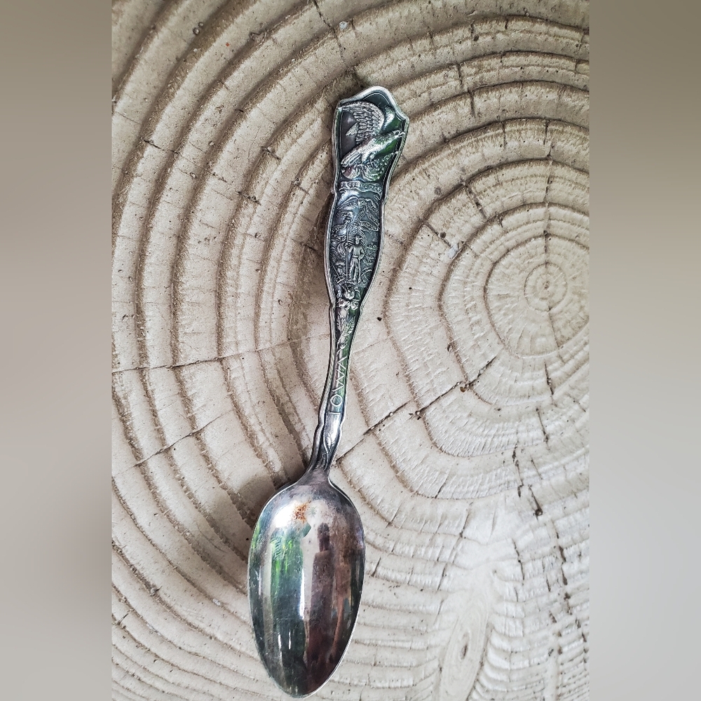 Vintage 1881 Rogers A1 IOWA Souvenir Spoon